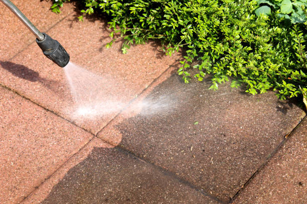 Best Local Pressure Washing Services  in Lake Barrington, IL
